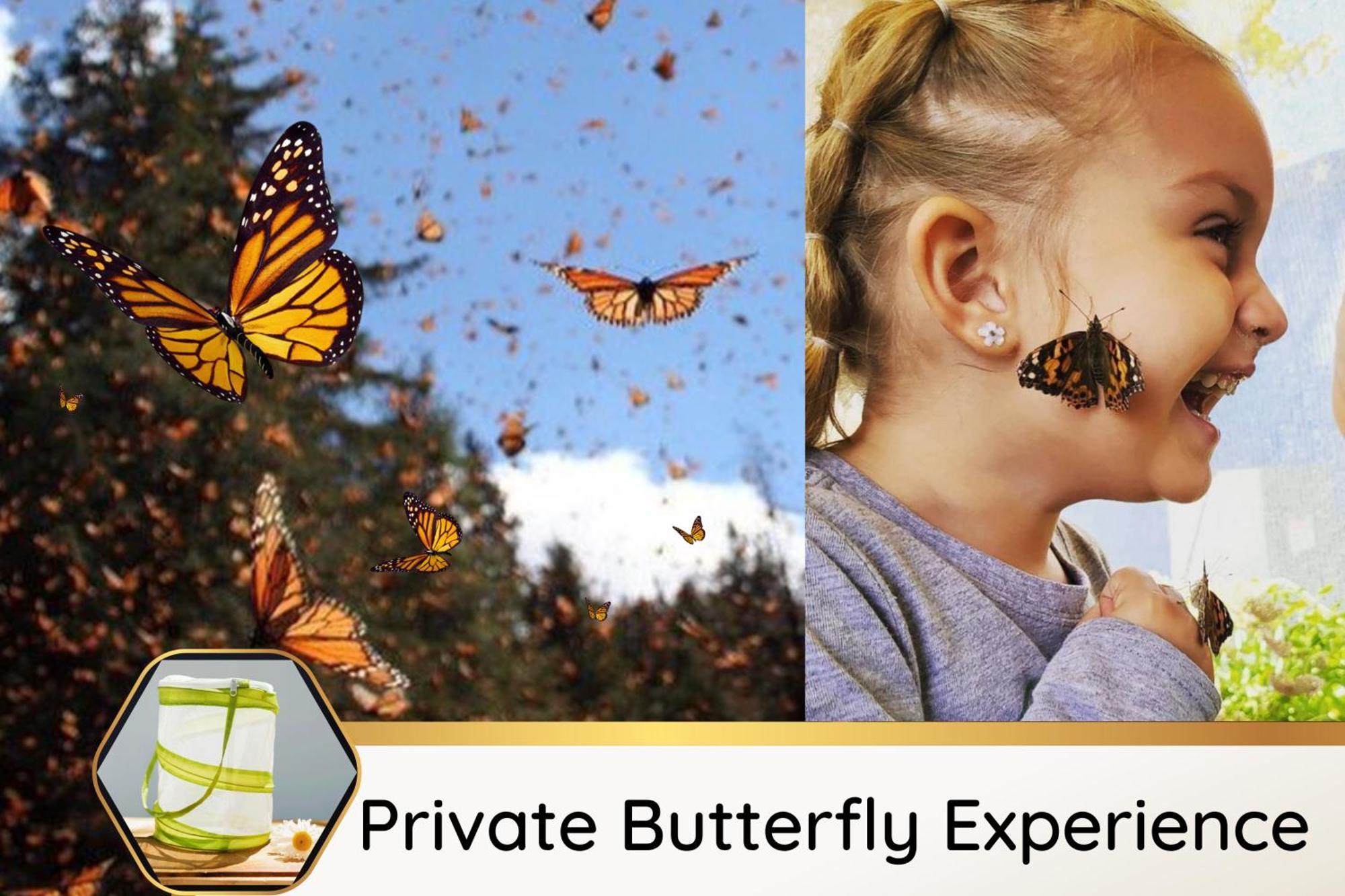 Butterfly Themed Kings Apartment With Private Garage & Access To Lux Hot Tub, Bbq & Gym Саут-Джордан Экстерьер фото
